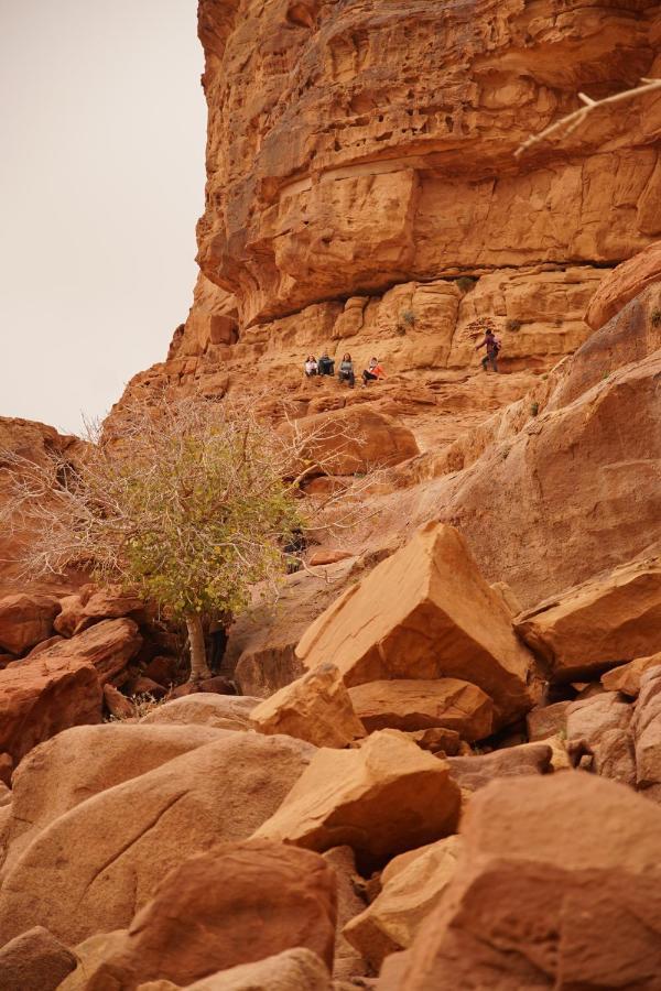 Quite Bedouin Life Hotel วาดิรัม ภายนอก รูปภาพ