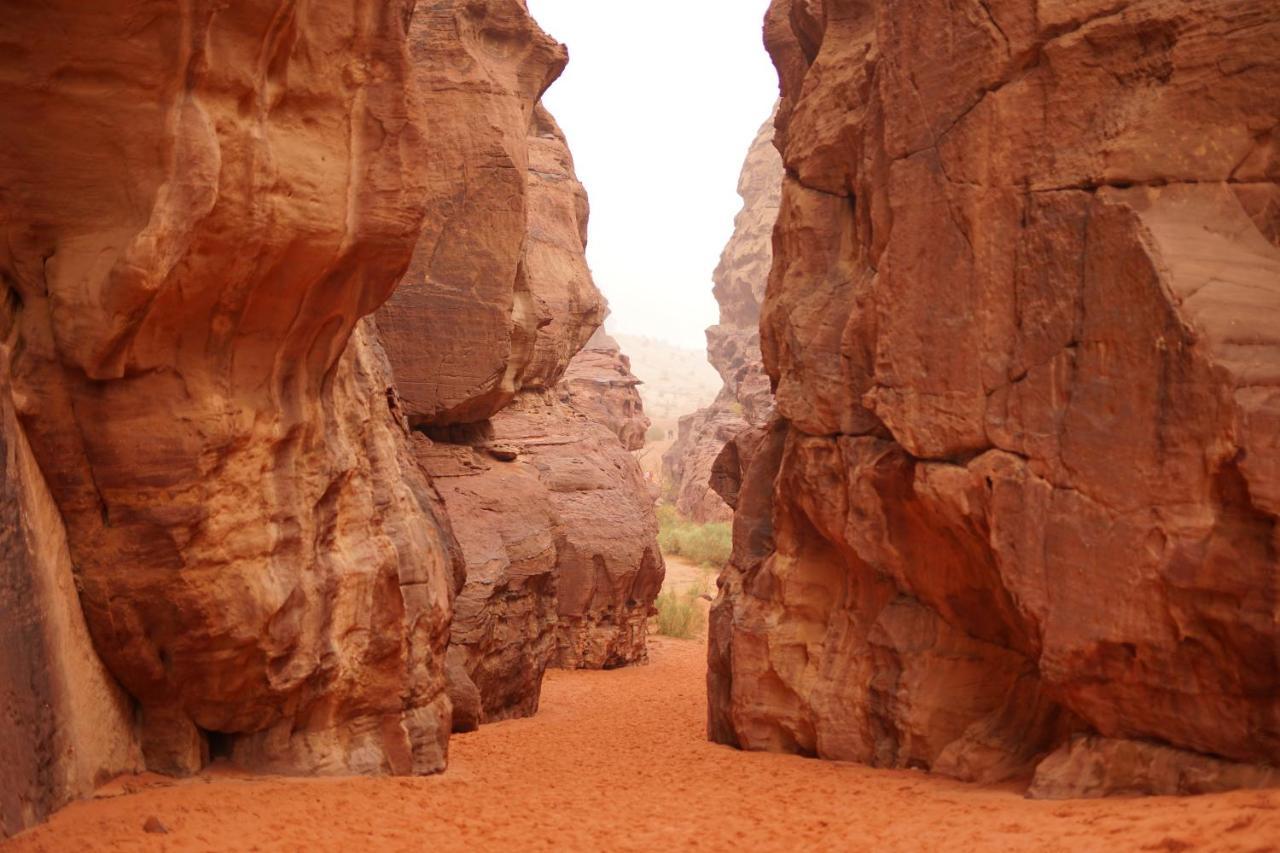Quite Bedouin Life Hotel วาดิรัม ภายนอก รูปภาพ