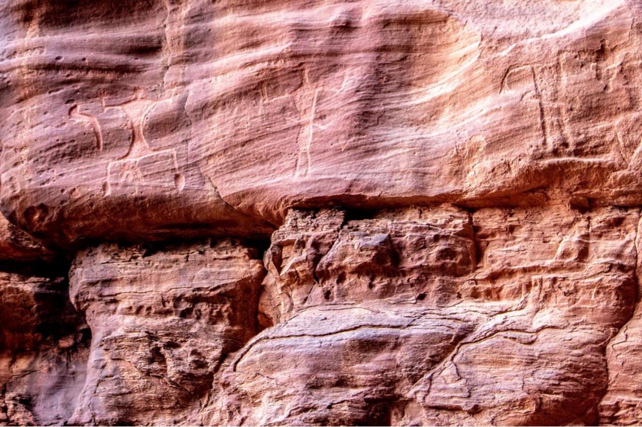 Quite Bedouin Life Hotel วาดิรัม ภายนอก รูปภาพ