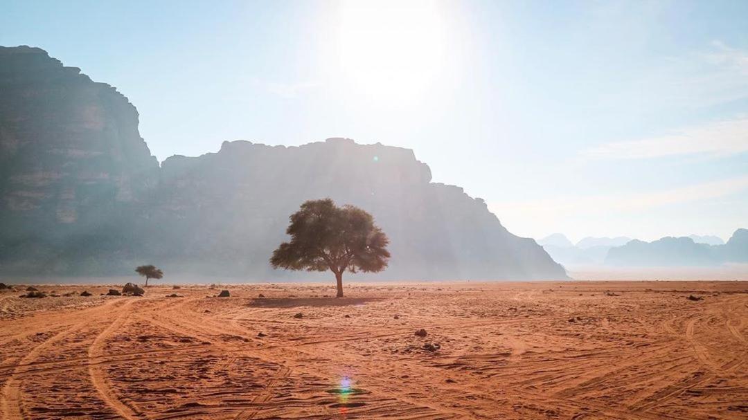 Quite Bedouin Life Hotel วาดิรัม ภายนอก รูปภาพ